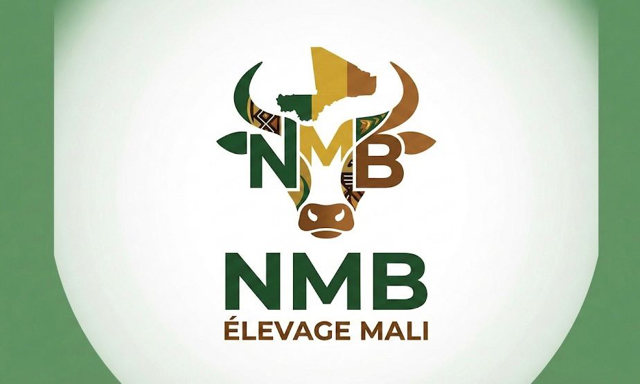 Logo NMB